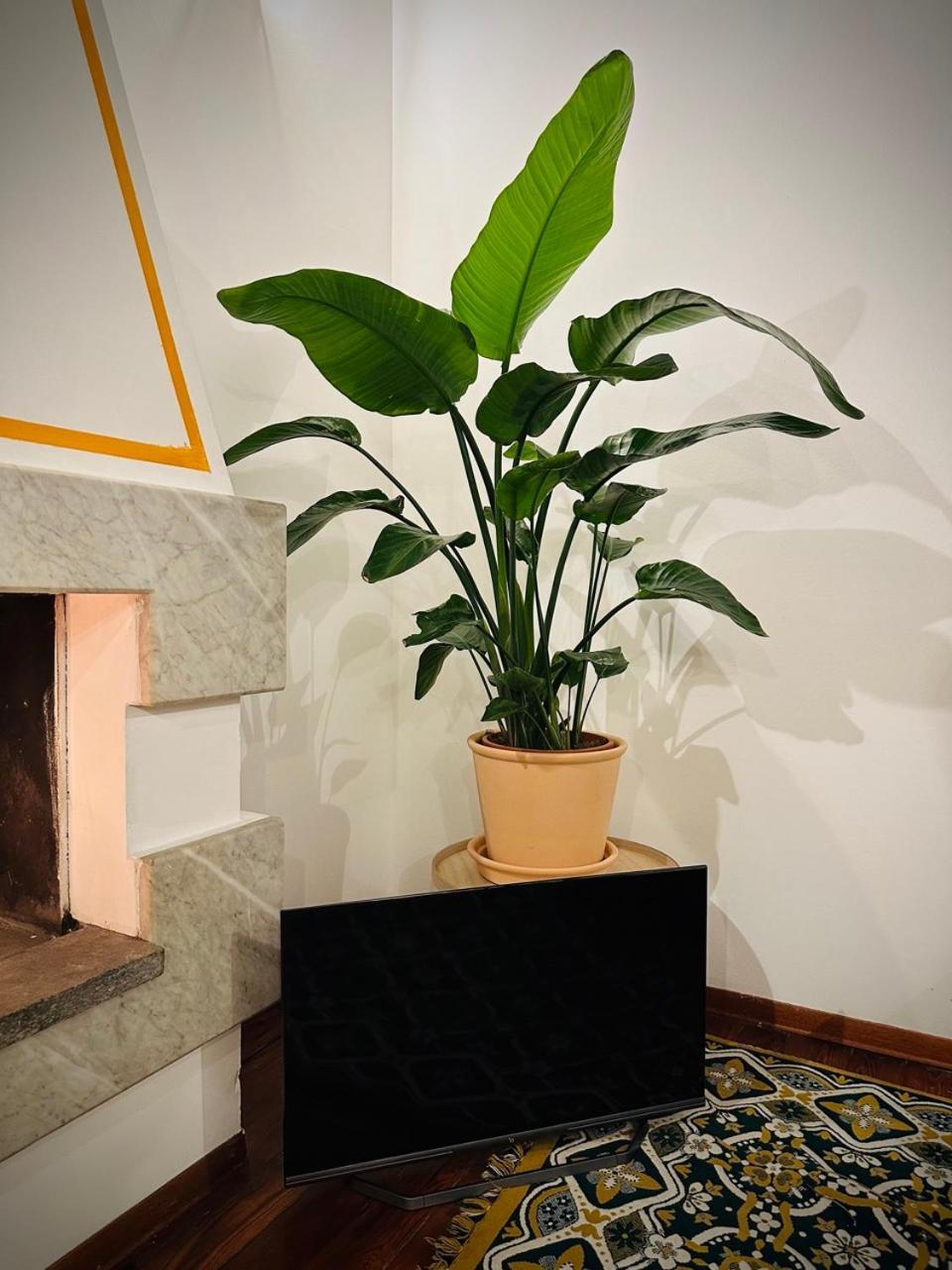 Wow House In Torino Appartement Buitenkant foto